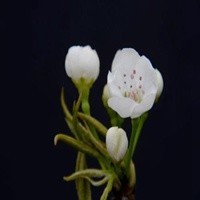 美女霸气演绎三十八度六,比原唱都好听!