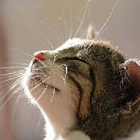 武汉大学新传考研指导:教学如此用心,你需要耐