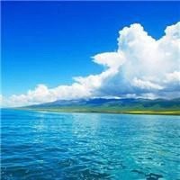 电影《动物世界》经典台词 对白!