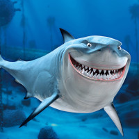 又见北风吹广场舞大妈演绎,舞蹈好看,人也美