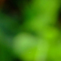 韩国首尔汽车沙龙展超美赛车模特许允美逛