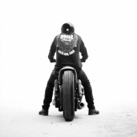 阿凡达驯服上古神兽成为魅影骑士,赢得所有纳