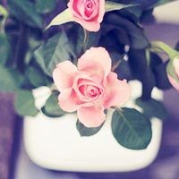 最近鬼步舞很火,小姐姐舞步轻盈,跳得真精彩!