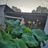 微信不用验证码,不用密码也可以登入,再也不怕