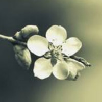 美女的脚臭味简直无敌了,帅哥闻过之后当时就