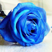 搞笑王者荣耀:鲁班小乔去反蓝本来死里逃生,结