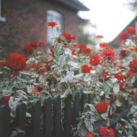 电竞选手不等于网瘾少年 家长观念开始发生改