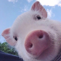 lol回手淘 走位走位,马老师原版