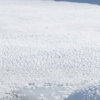 遵守交通规则,勿闯红灯@抖音小助手 #交通交