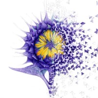 彩铅手绘电视剧《扶摇》皇后杨幂,太美了