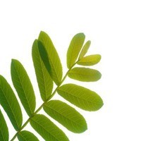 美女去医院脱了衣服做乳腺检查,医生刚进来,女