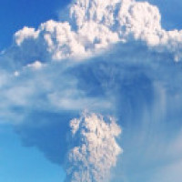 曹可凡传言水落石出 两名造谣者已被找到