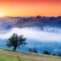 美女《自作多情》复古港风舞蹈教学生活高清正