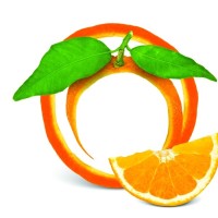 郑爽和张翰机场偶遇,神似路人,一句话都没说你