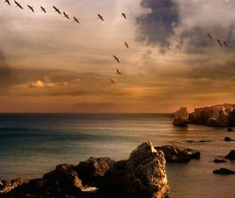 《西虹市首富》里的菊花阵符合足球规则吗?现