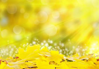 四川方言爆笑猫和老鼠,汤姆猫打麻将失眠,半睡