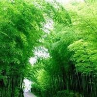 王广成广场舞《隔壁泰山》十分钟舞蹈教学,32