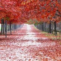 仙剑奇侠传三 杨幂脾气太反复无常了, 变脸速度