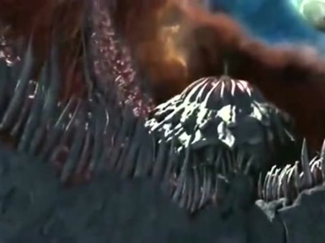 CCTV老故事频道《感悟中国》栏目走进可罗雅