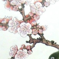 王者荣耀花木兰FMVP皮肤确认为传说级别,猪