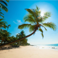 这真是高手在民间啊!一首《38度6》,唱的让原