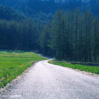 小妹妹直播唱歌好听,还幽默 221