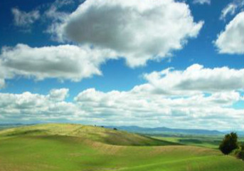 扶摇电视剧全集免费在线观看逆袭,最爱的杨幂