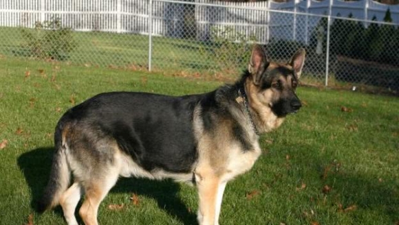 Ϊʲô����������Խ��Խ�٣����Ǿ�����ȡ