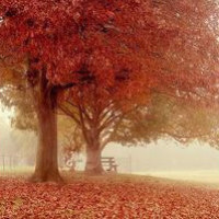 《硬骨头之绝地归途》汉奸长的人五人六,在日