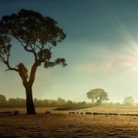 少儿动画片这是怎么啦,《汪汪队立大功》小猴