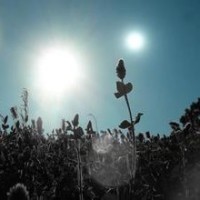 郑凯上飞机竟然被查出带避孕套,老司机啊