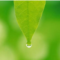 怎样判断艾滋病毒携带者?遇上这三种人,一定要