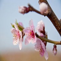 最新儿童禁药名单来了!要记住这些药名一定能