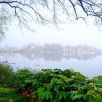 马永贞和罗湛角逐上海滩第一高手,双方几乎擂