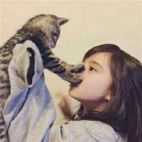 民生银行在街上收银下载安装教程视频