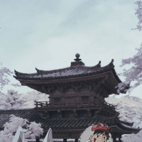 现场教学大司马回手掏