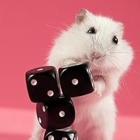 宋丹丹巴图和帝师上直播都聊什么话题?