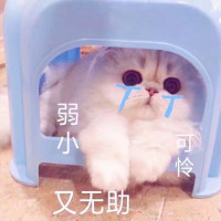 国服韩信请战。