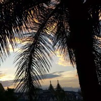 深度睡眠音乐平和冥想音乐