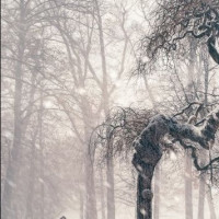 NS任天堂游戏机NintendoSwitch新手教程-配对