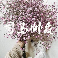 俄罗斯的这部车臣战争片,特别写实,比国产电影