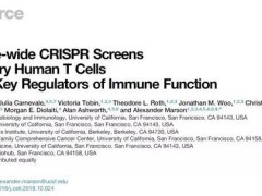 与患痴呆症风险相关基因确认!或带来延缓阿尔