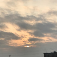 2018年度最佳拳击比赛,WBC金腰带拳击手怀特