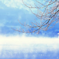 推拿正骨 颈椎旋转复位 咔吧咔吧两声 全身都舒