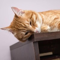 鹏飞体系动感单车视频音乐谢鹏飞