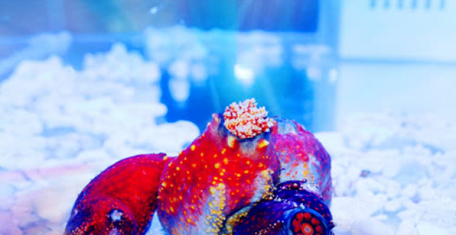 向海而生最新文章