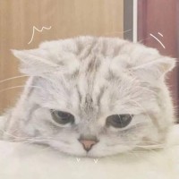 厉害了我的哥!他说让我晚上微信运动圈里见,真