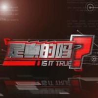 广州到香港九龙高铁动感号,9月23开通最高时速