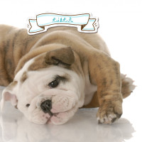 唐嫣与曾志伟合作对手戏,不仅骂他下流,还嘲讽