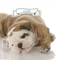 终于找到了2018最新美国枪战动作片,荒郊沙漠